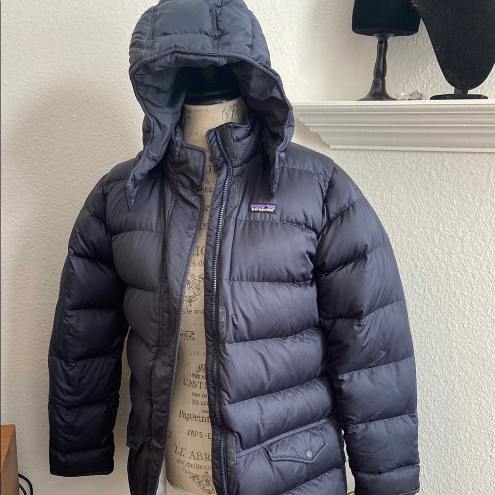 Patagonia Blue Puffer Jacket with Insulated Hood and Quilted Design